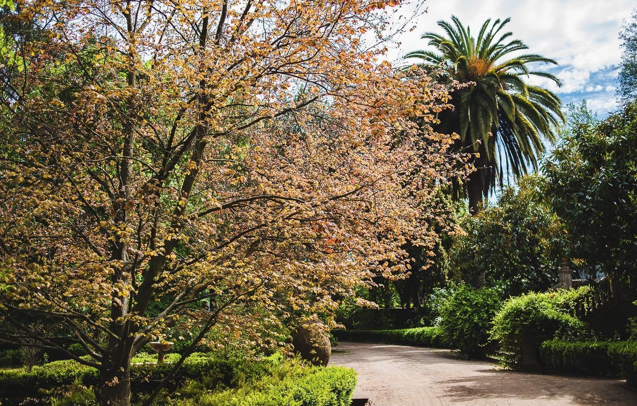Hacienda Los Lingues Chile Valle De Colchagua Esterno foto
